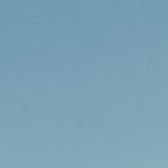 Meet your Posher, Rory - Picture 1 of 1